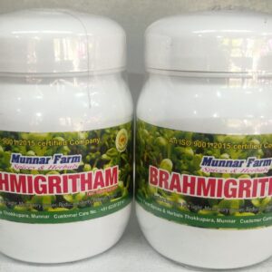 Brahmigritham