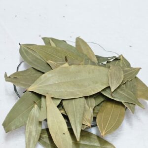 sp.BAY LEAF